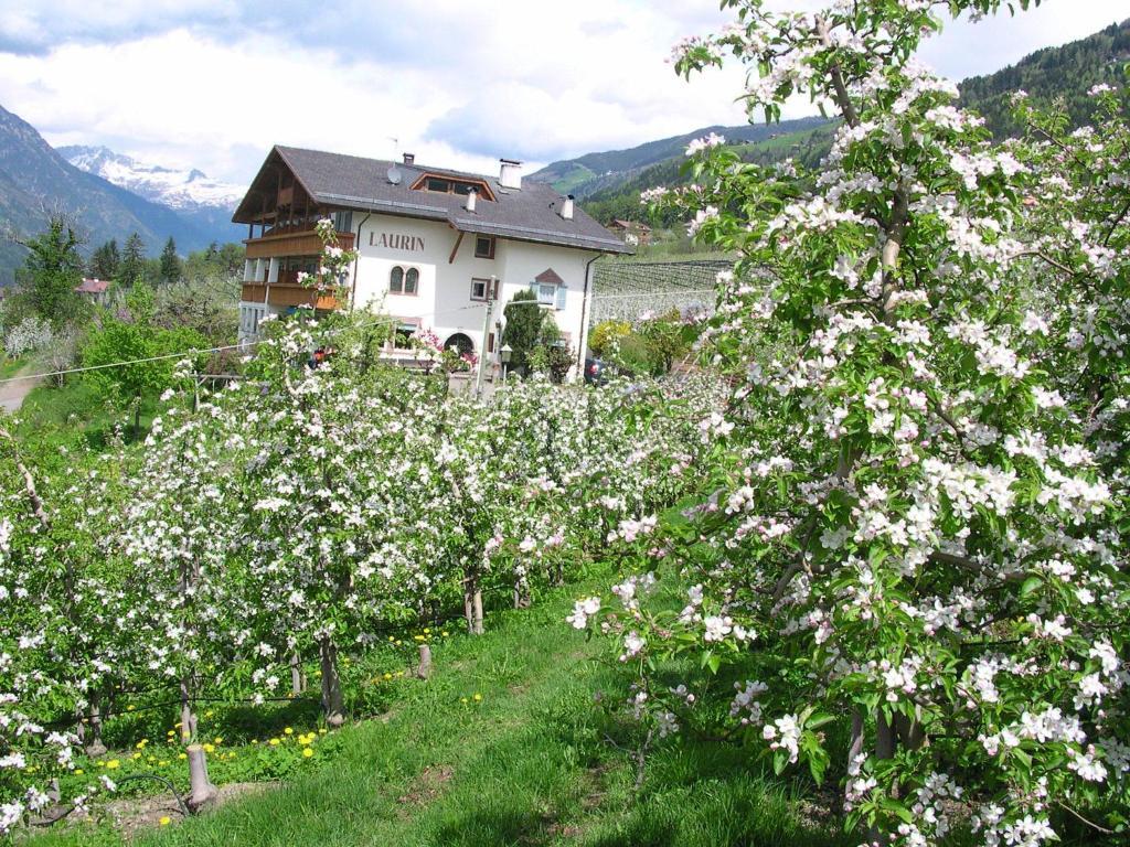 Pension Laurin Schenna Exterior foto